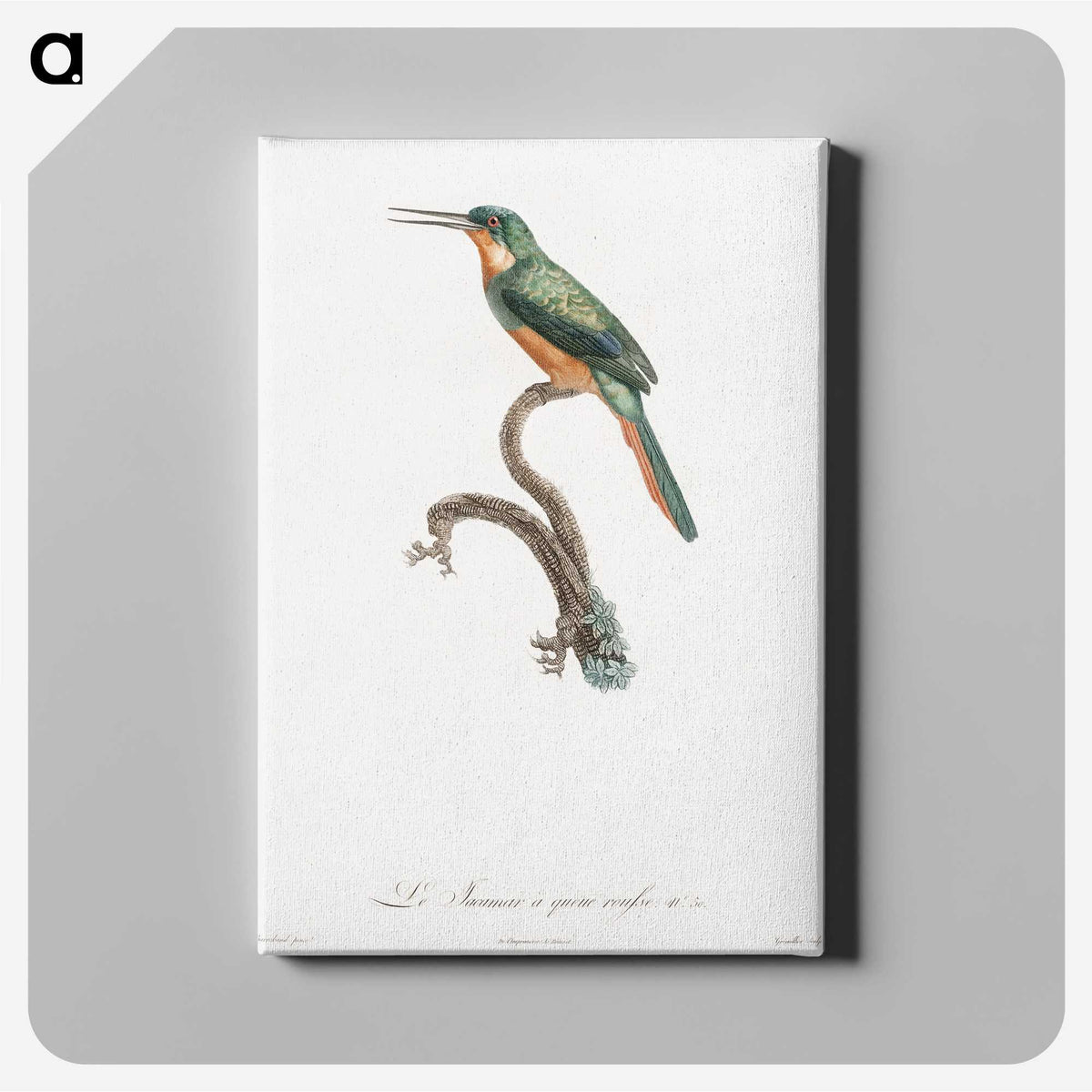 1-23_Des-Oiseaux-de-Paradis_canvas