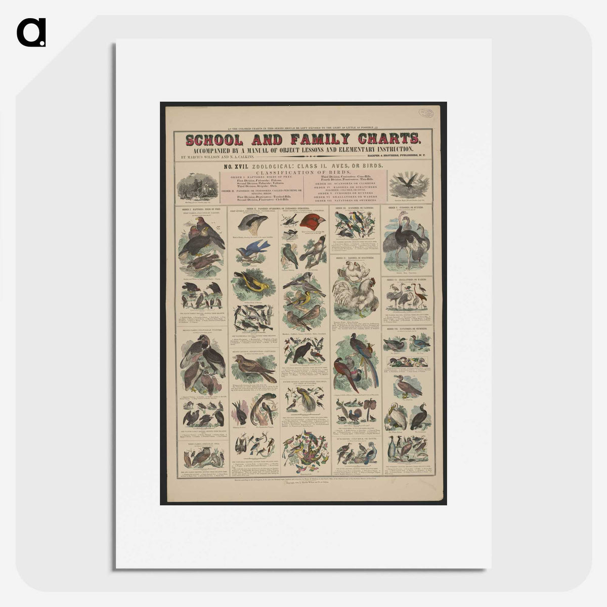 1-23_Education-Charts_picture