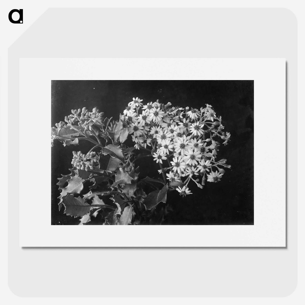 1-23_Frederick-Charles-Brockett_picture