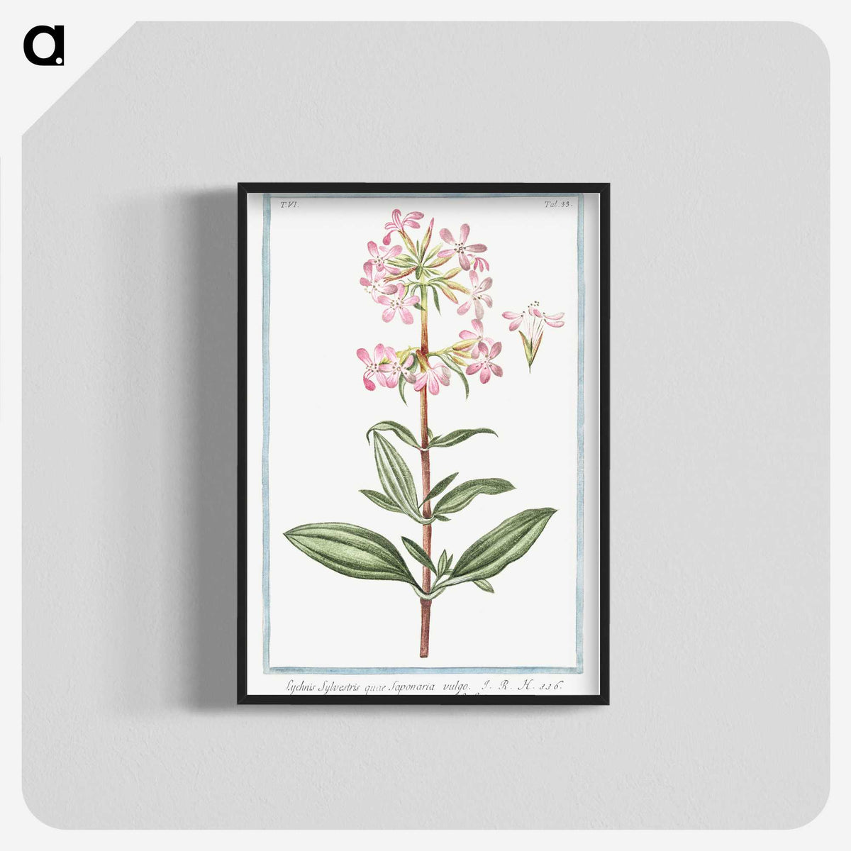 1-23_Hortus-Romanus-Botanical-Plates_blk-crop
