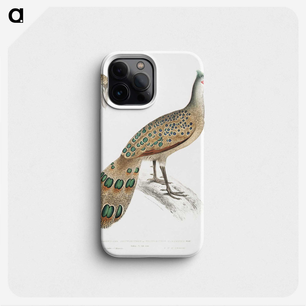 1-23_Indian-Zoology_phone