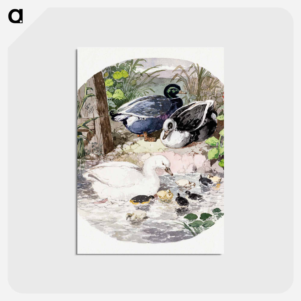 アートポストカード-British Ducks
- ジョン フレデリック ヘリング Postcard.