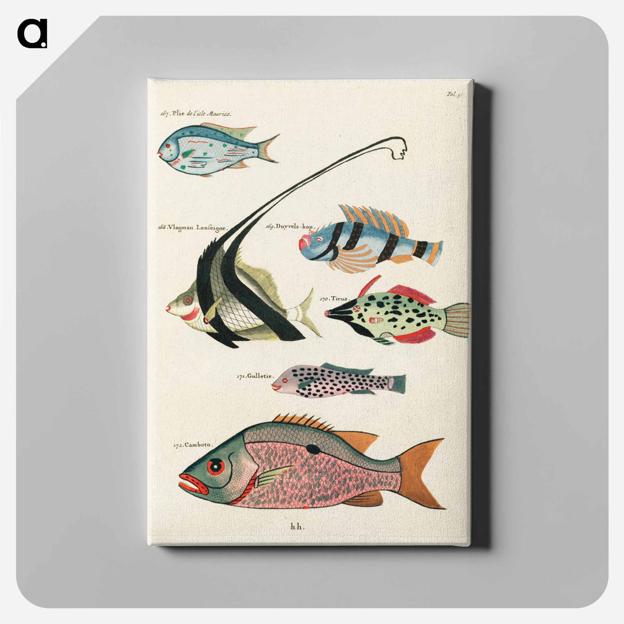 アートパネル-Moluccan Fishes
- ルイ ルナール Canvas.