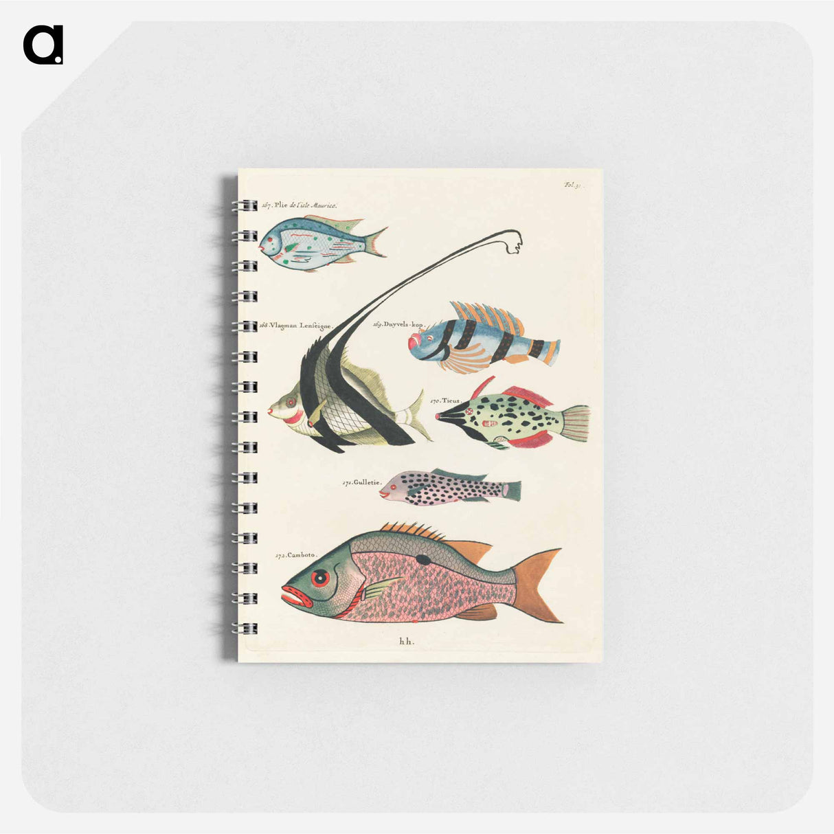 Moluccan Fishes
- ルイ ルナール Memo.