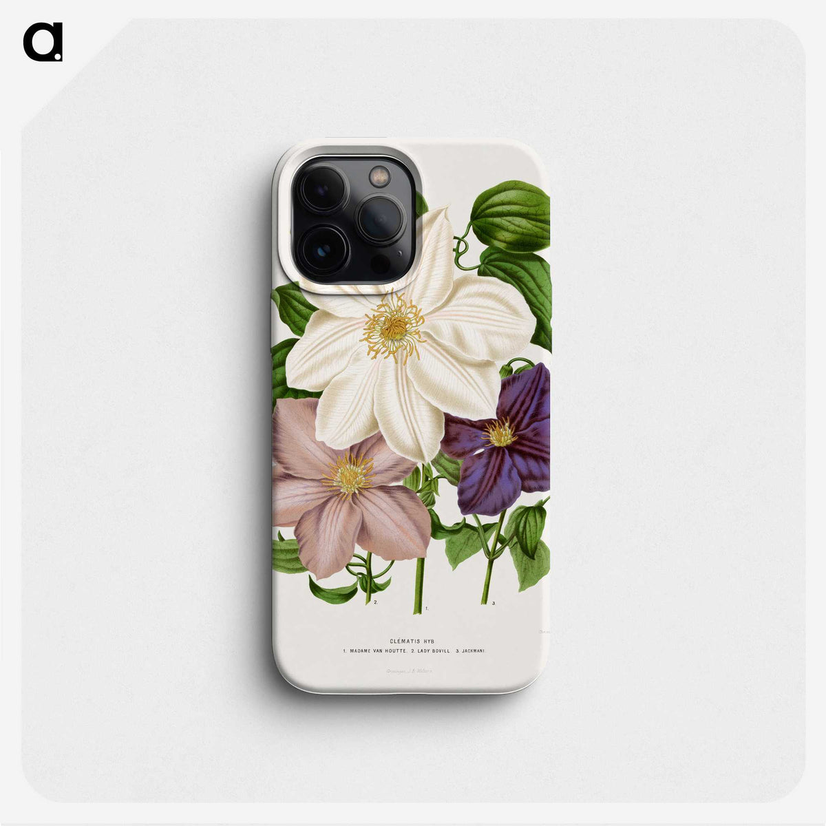 1-23_Nederlandsche-Flora-en-Pomona_phone
