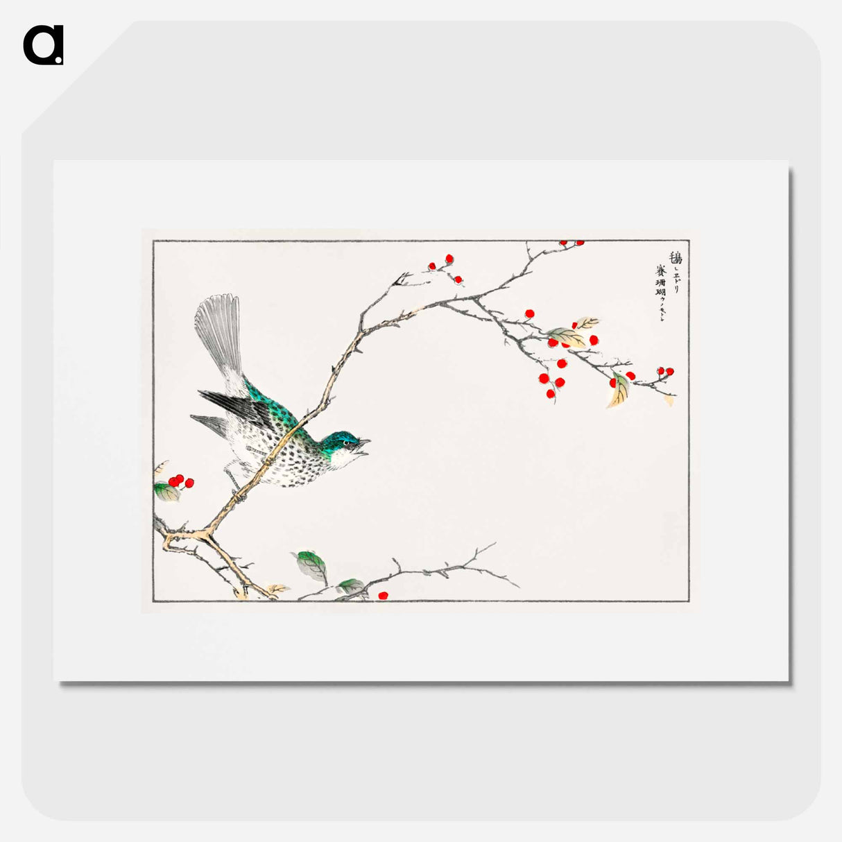 アートポスター-Brown-eared Bulbul and Dioecious Holly
- 鳥類図鑑 Poster.