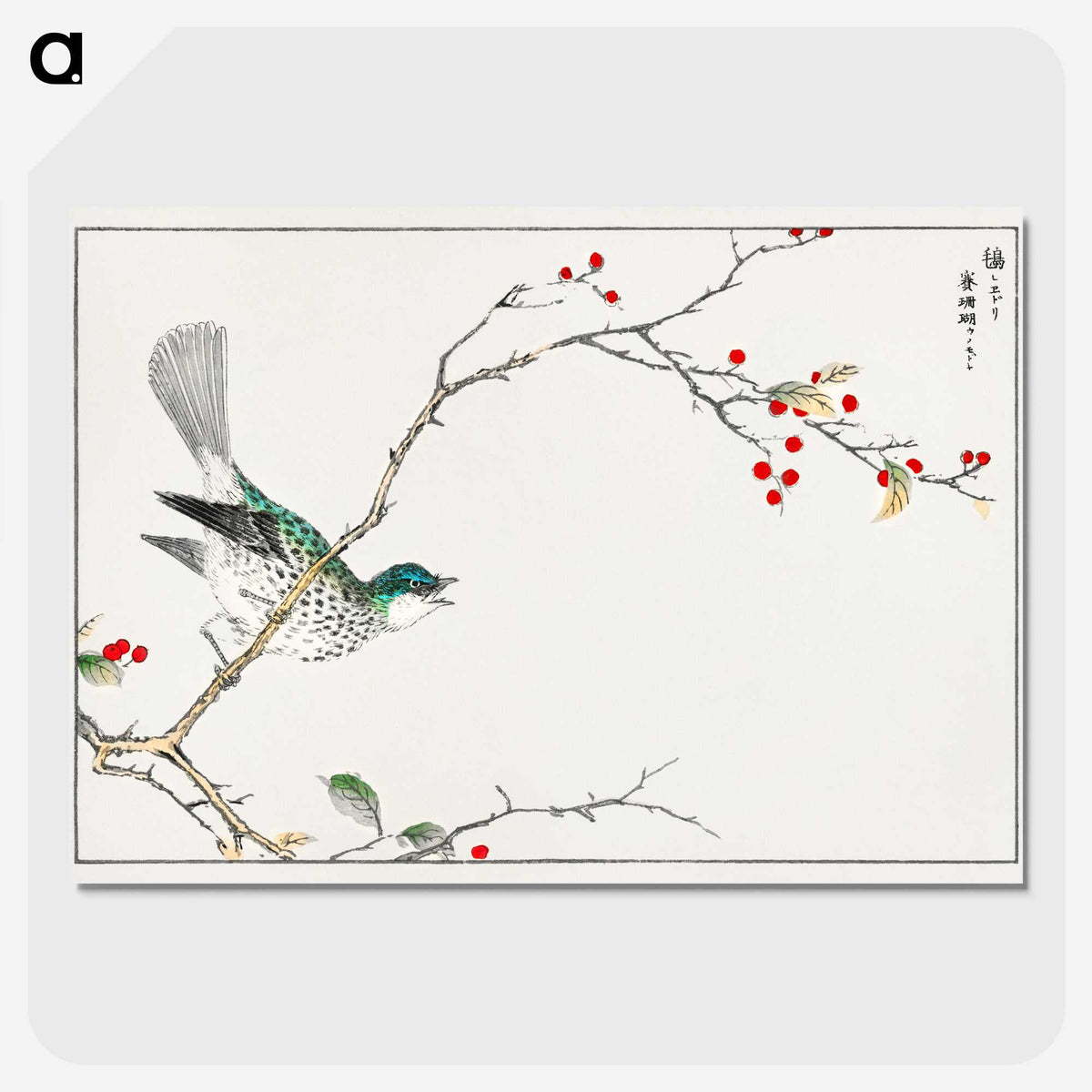 1-23_Pictorial-Monograph-of-Birds_picture-crop