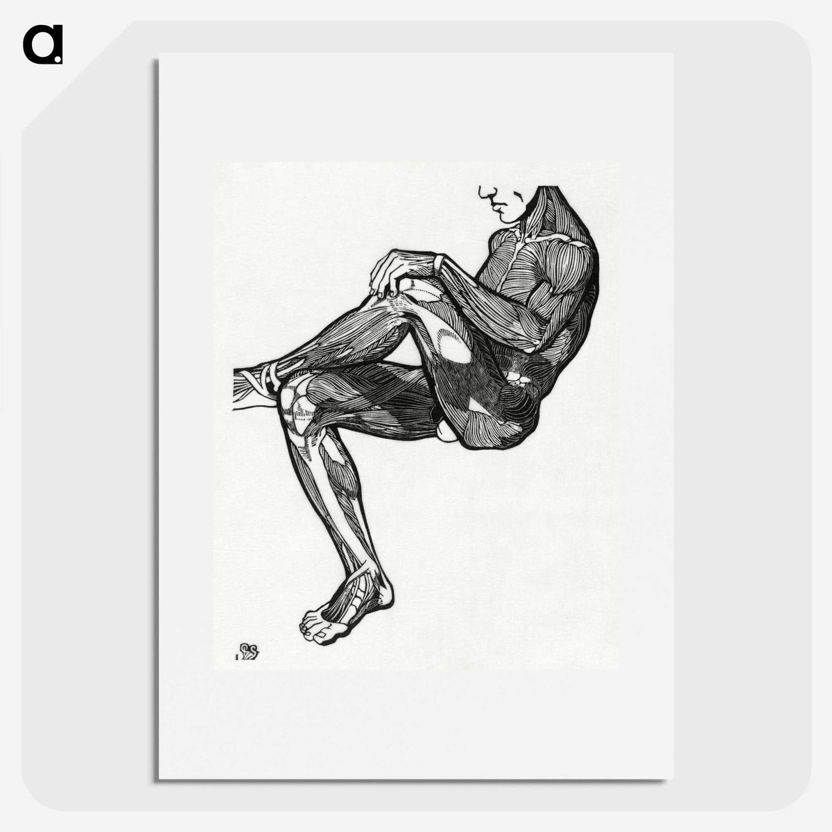 1-23_Reijer-Stolk_picture