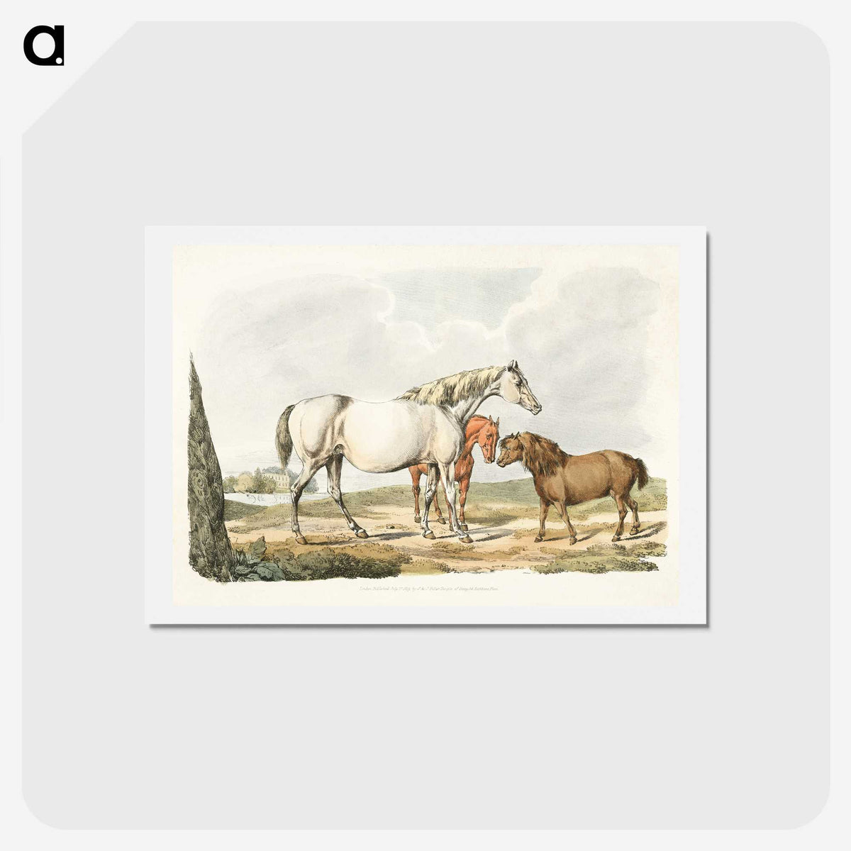 1-23_Sporting-Sketches_hagaki