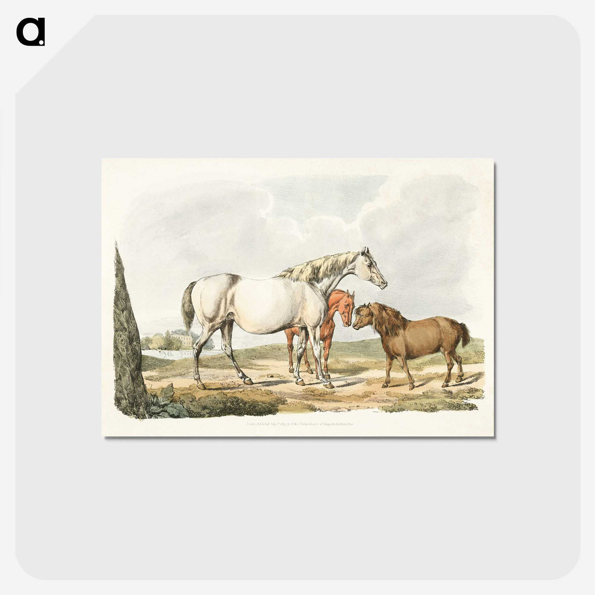 1-23_Sporting-Sketches_postcard
