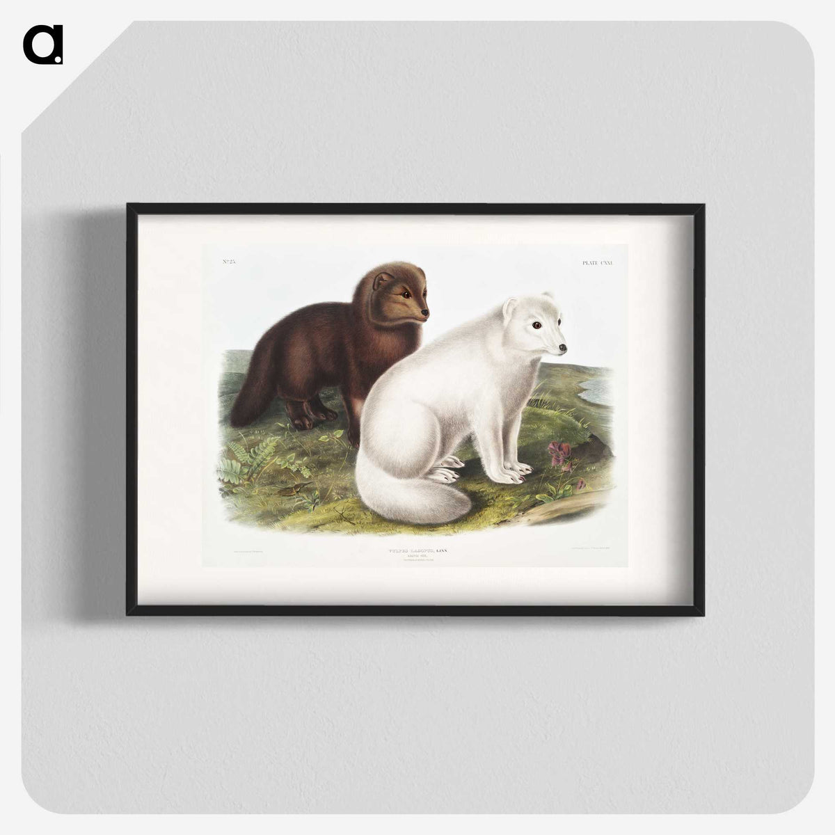 1-23_The-Viviparous-Quadrupeds_blk
