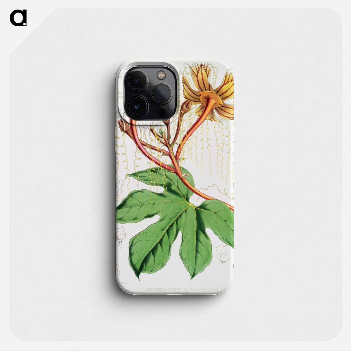 Chinese Lard Seed (Hodgsonia Heteroclita), male plant from Illustrations of Himalayan plants by WH (Walter Hood) Fitch - Walter Hood Fitch Phone Case.