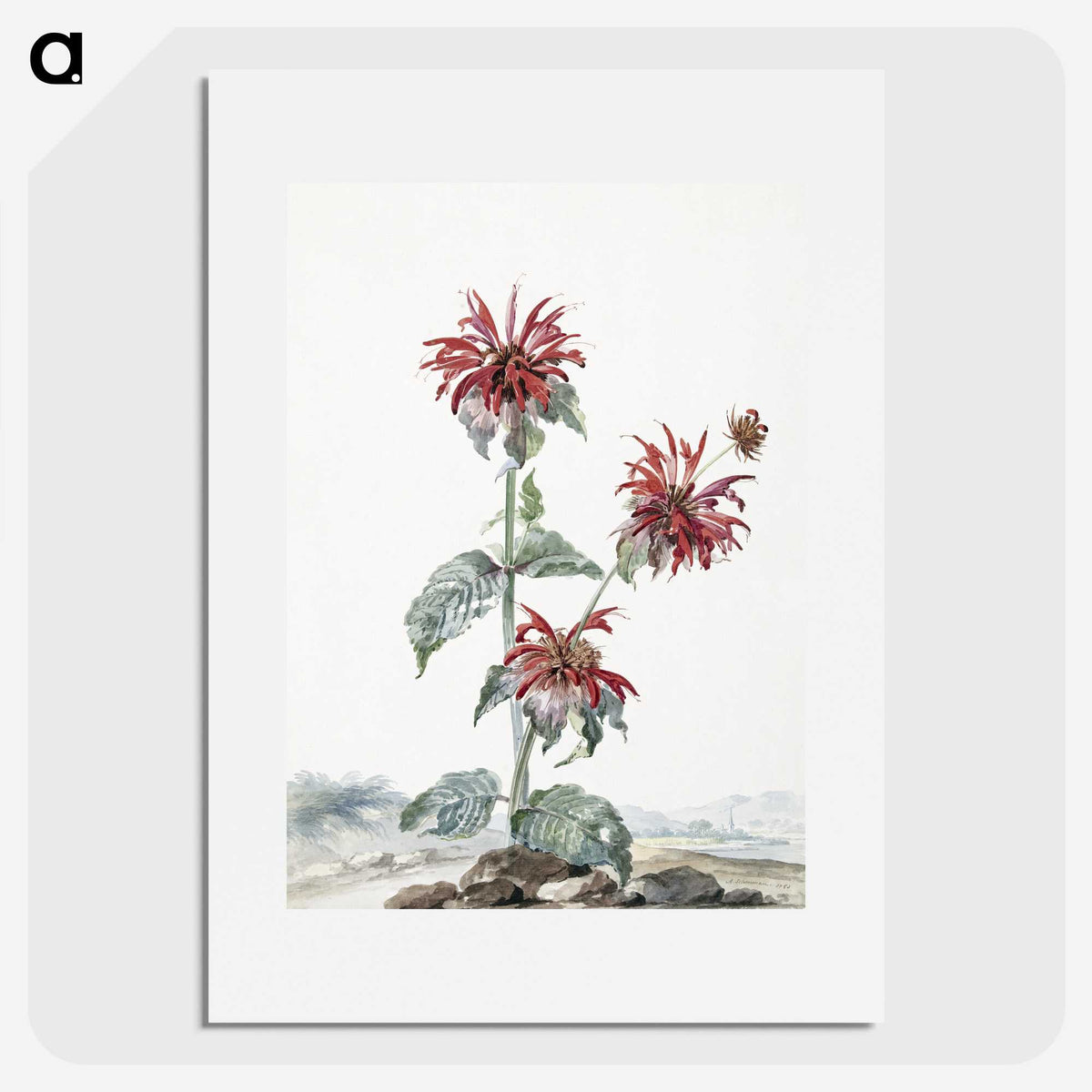 1-24_Aert-Schouman_picture