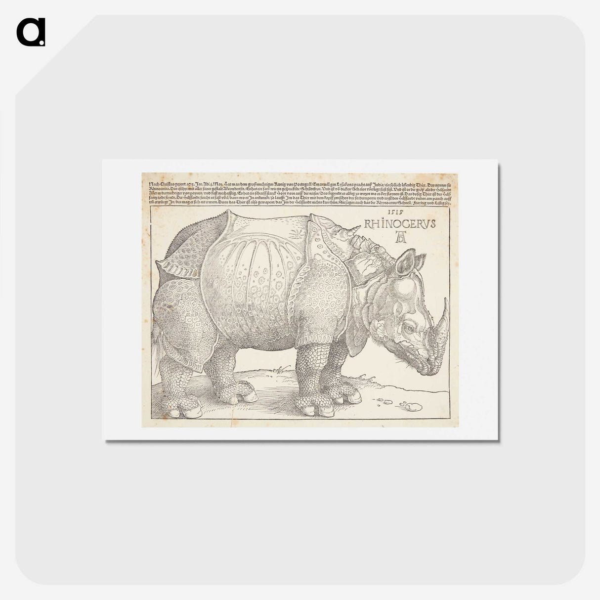1-24_Albrecht-Durer_hagaki