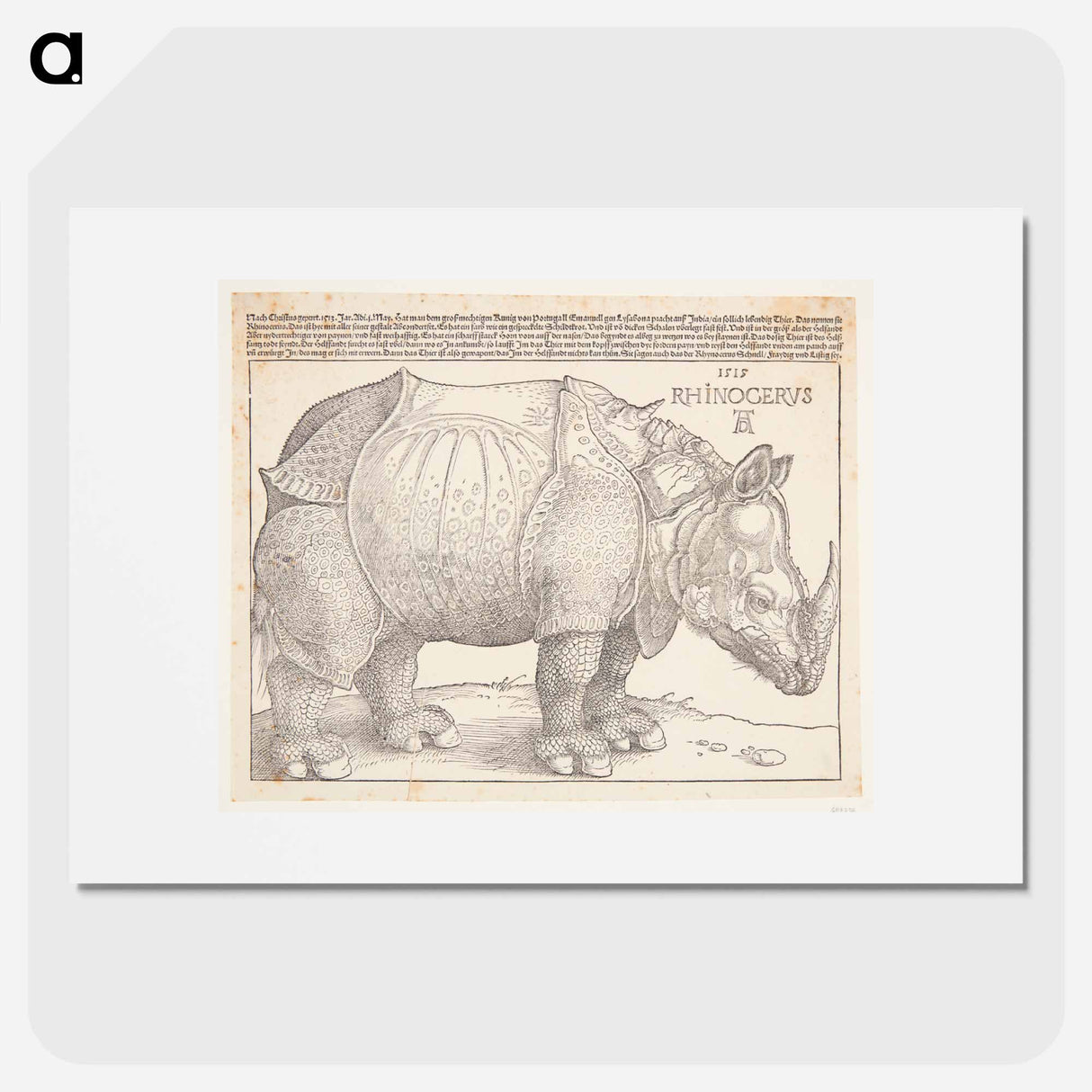 The rhinoceros - アルブレヒト デューラー Poster.