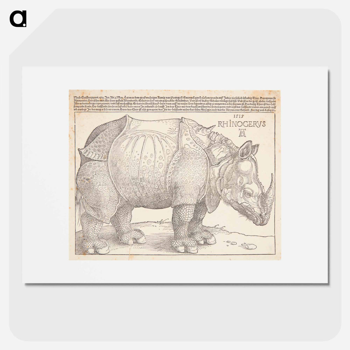 アートポスター-The rhinoceros - アルブレヒト デューラー Poster.