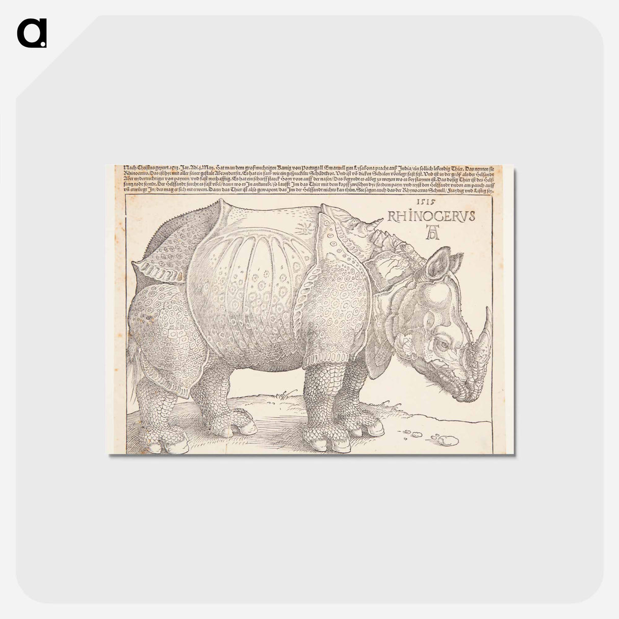アートポストカード-The rhinoceros - アルブレヒト デューラー Postcard.
