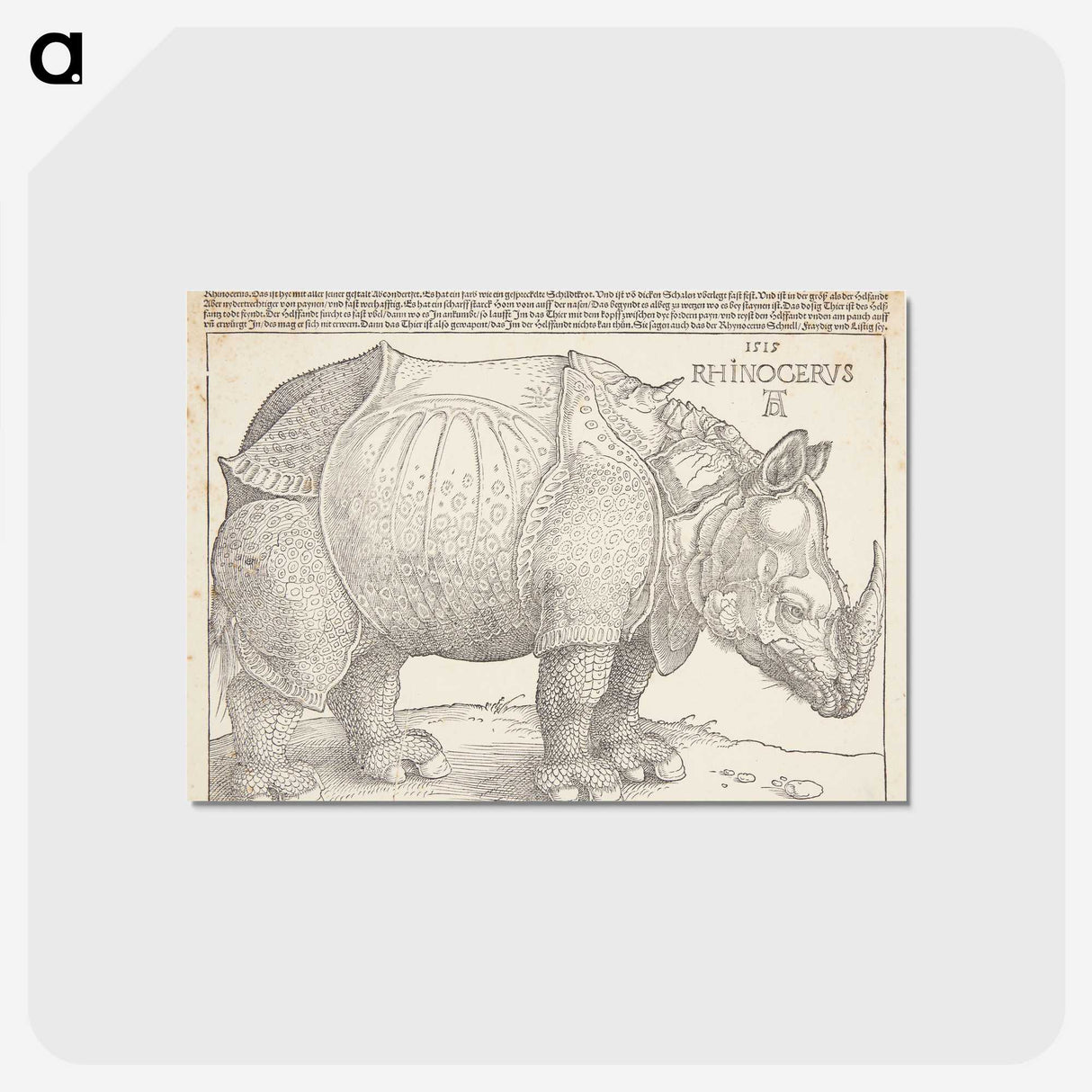1-24_Albrecht-Durer_postcard