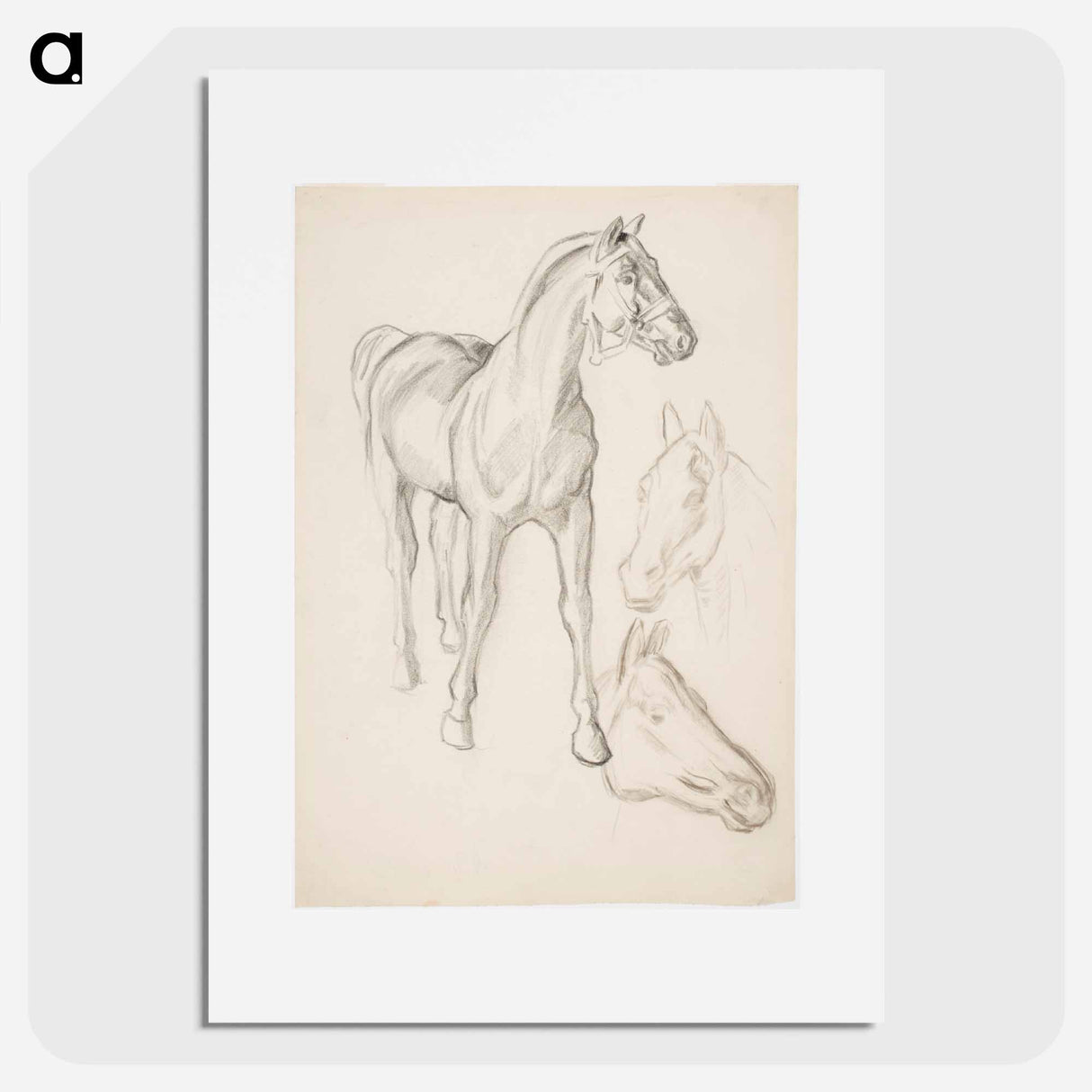 Horse, Hevosia - アルフレッド ウィリアム フィンチ Poster.