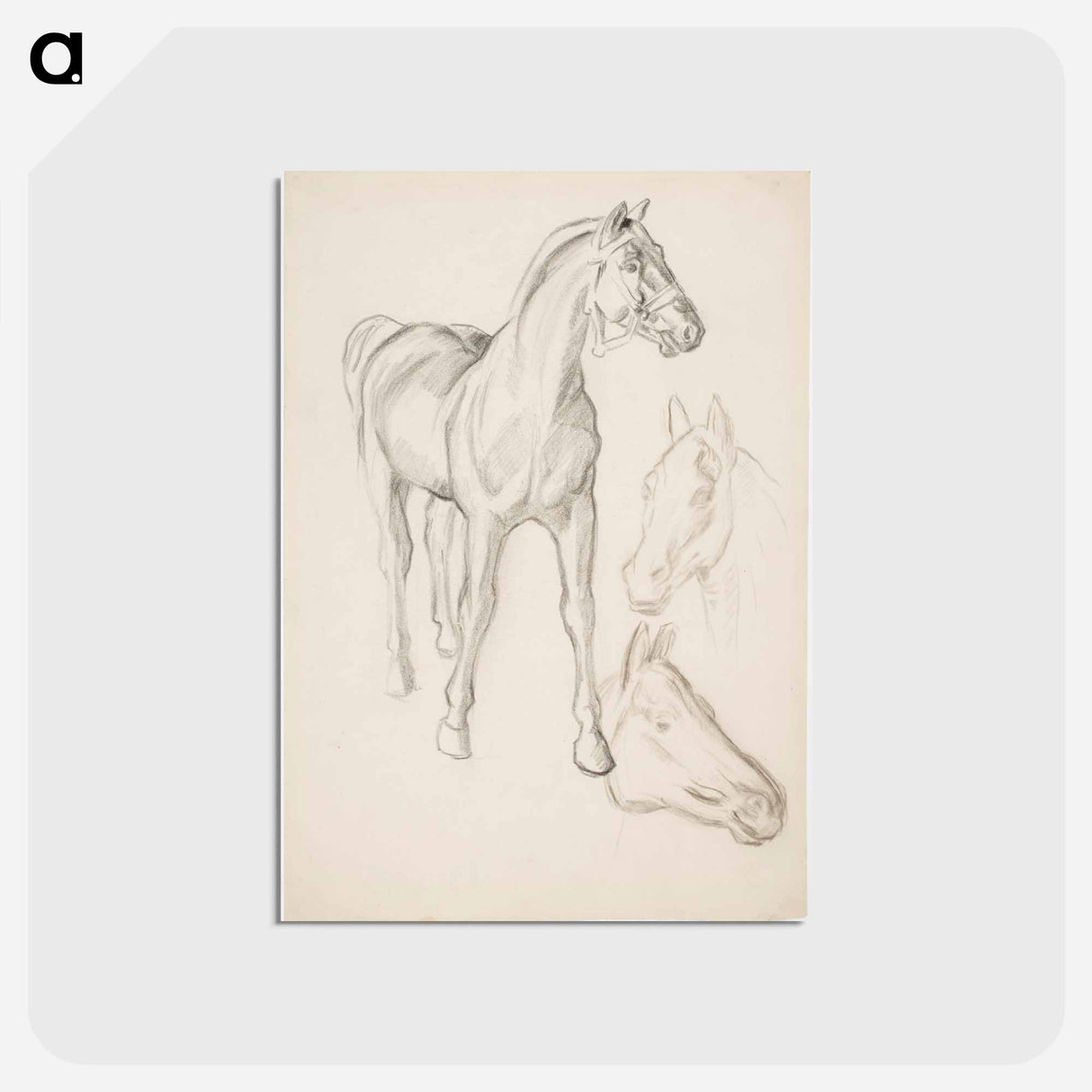 アートポストカード-Horse, Hevosia - アルフレッド ウィリアム フィンチ Postcard.