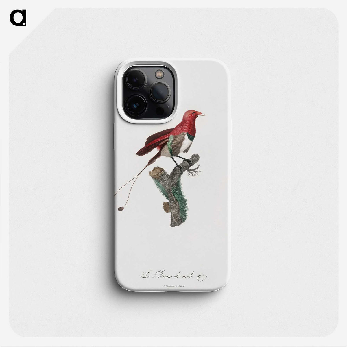 1-24_Des-Oiseaux-de-Paradis_phone