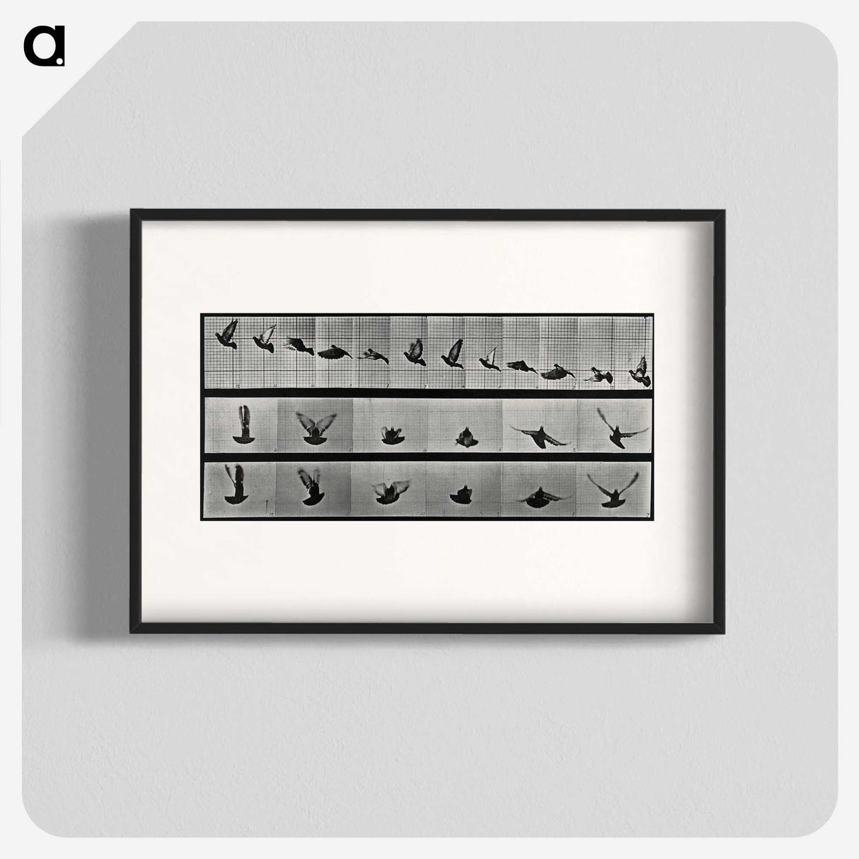 1-24_Eadweard-Muybridge_blk