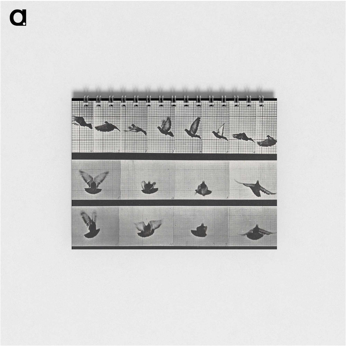 1-24_Eadweard-Muybridge_memo