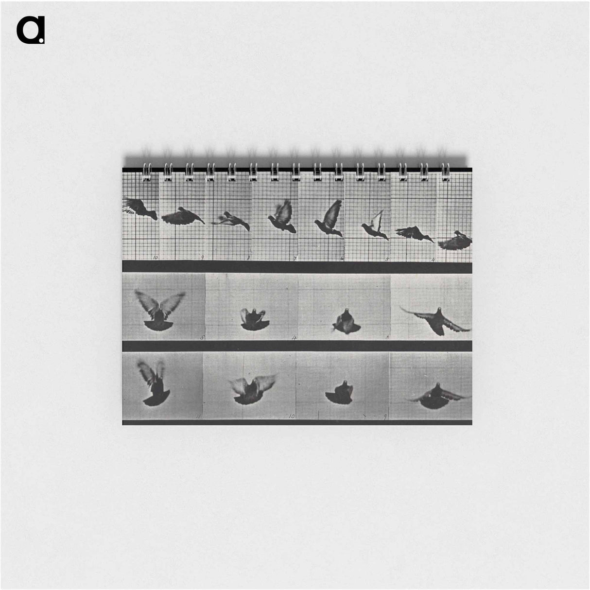アートメモ帳-Flying Cockatoo
- エドワード マイブリッジ Memo.