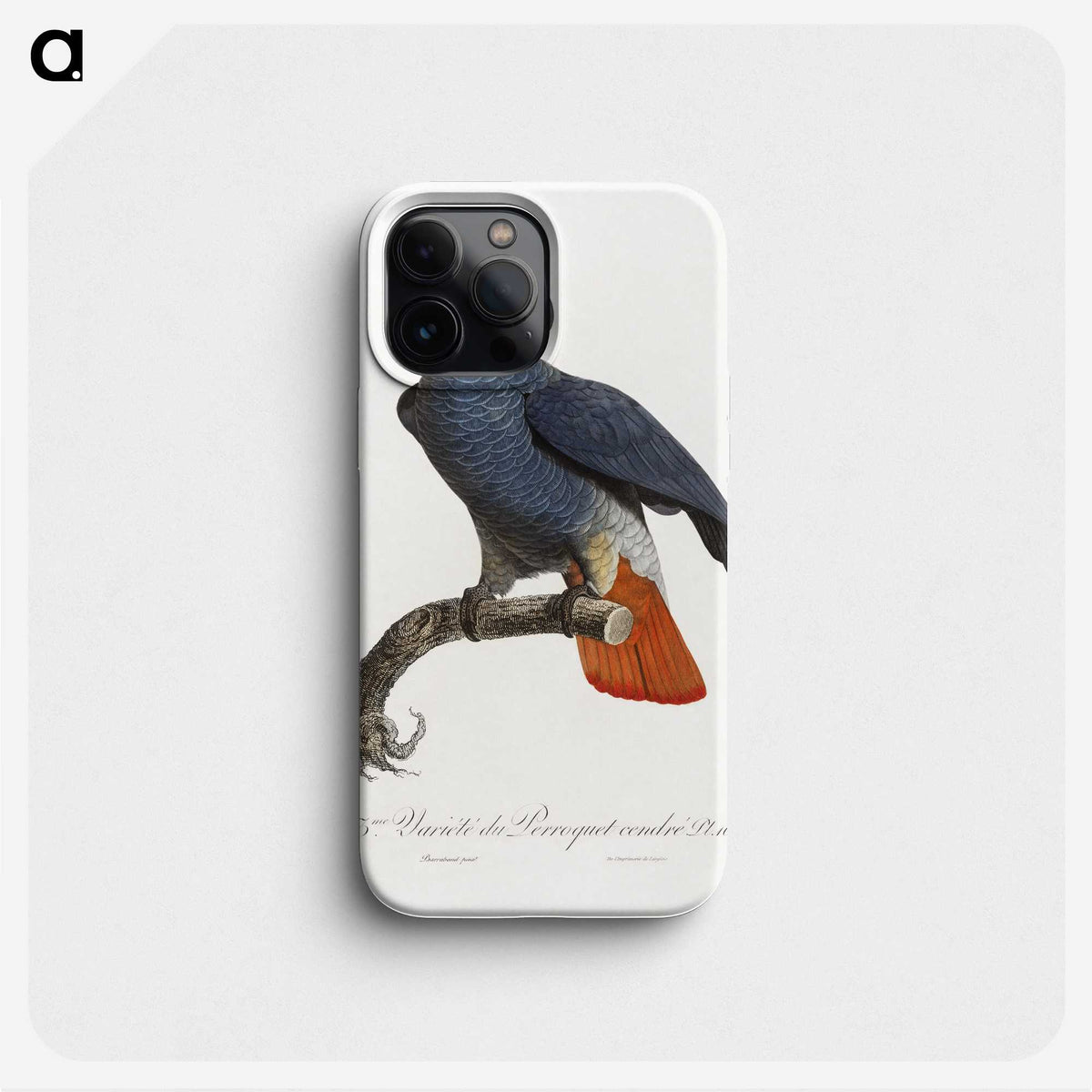 1-24_Francois-Levaillant_phone