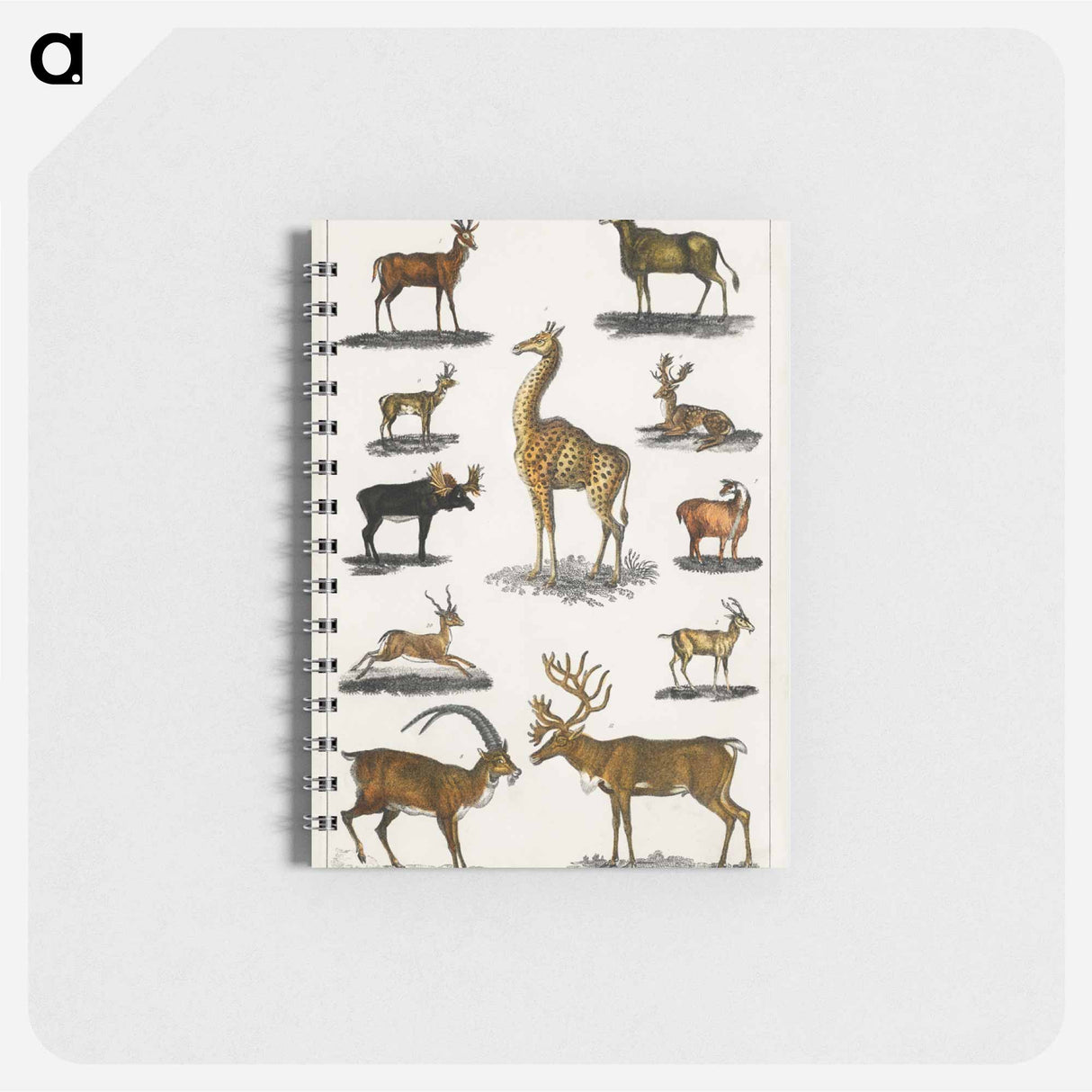 アートメモ帳-Antlered Animals
- ゴールドスミスの生き生きとした自然 Memo.