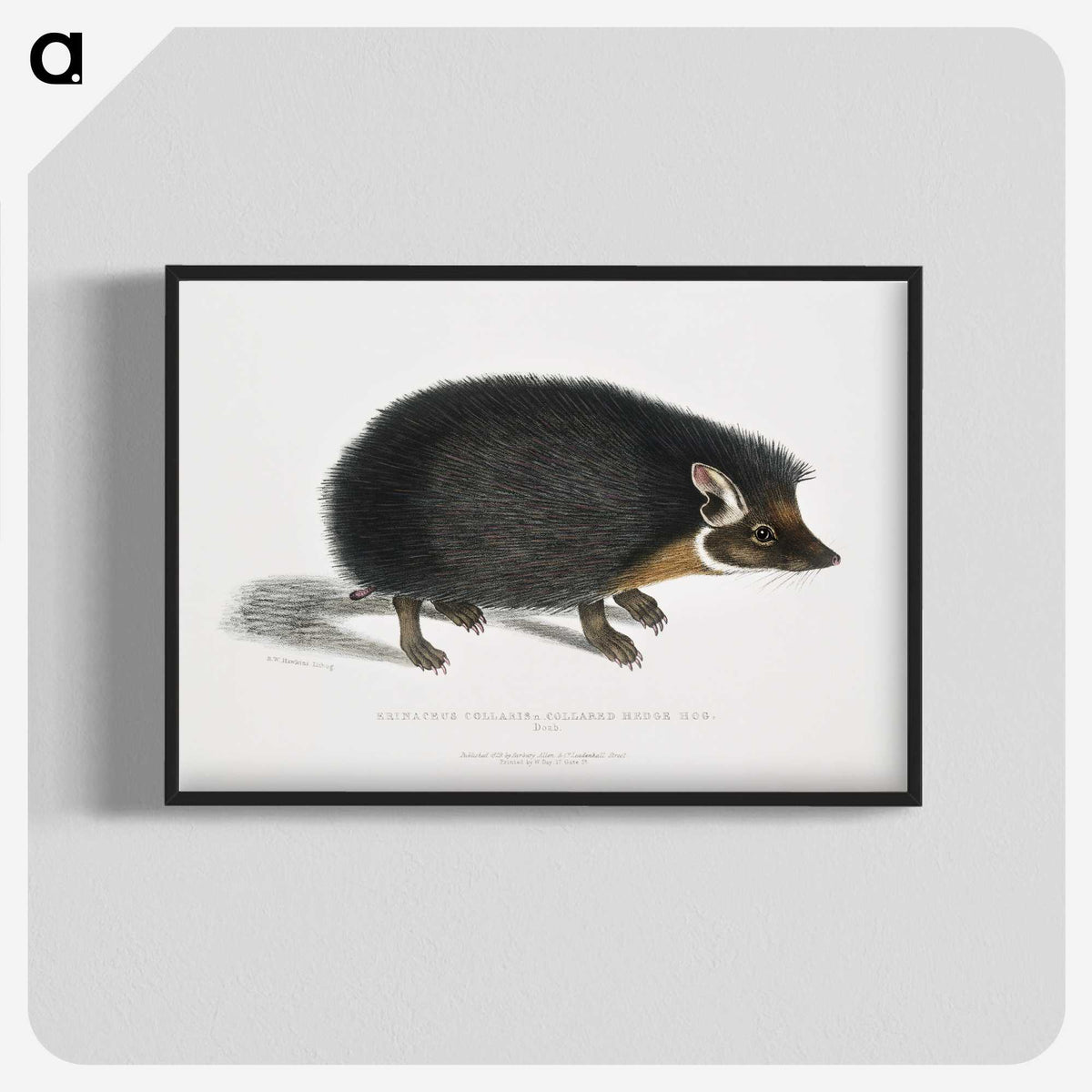 1-24_Indian-Zoology_blk-crop