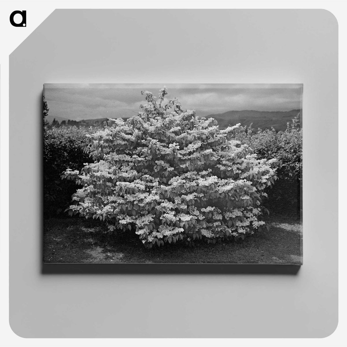1-24_James-Walter-Chapman-Taylor_canvas