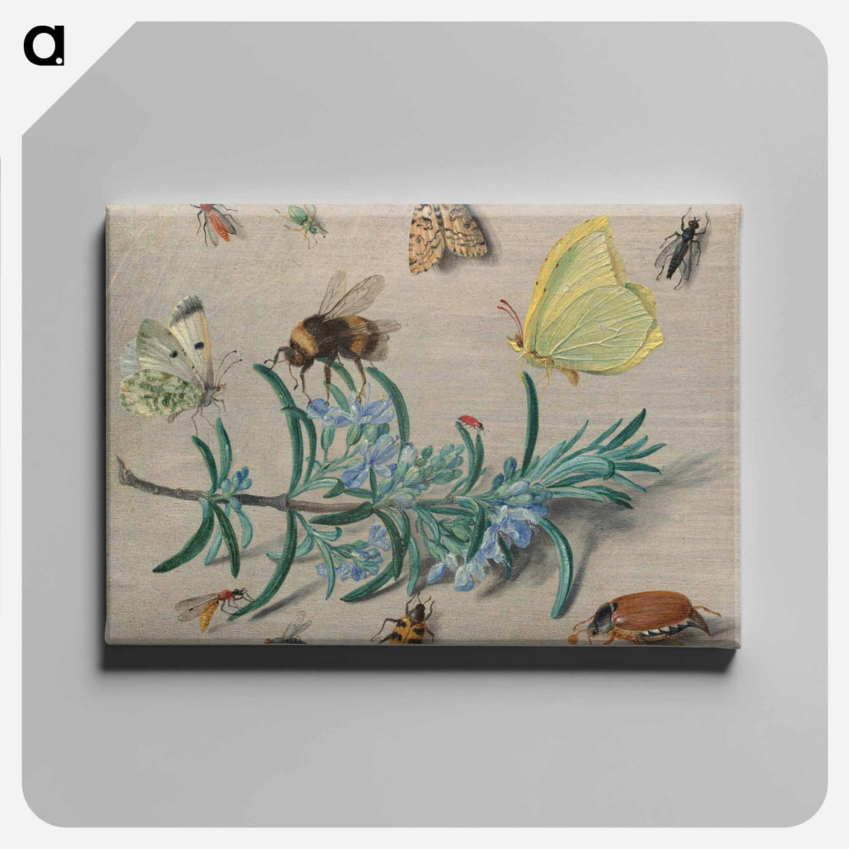 アートパネル-Insects and a Sprig of Rosemary
- ヤン ファン ケッセル Canvas.