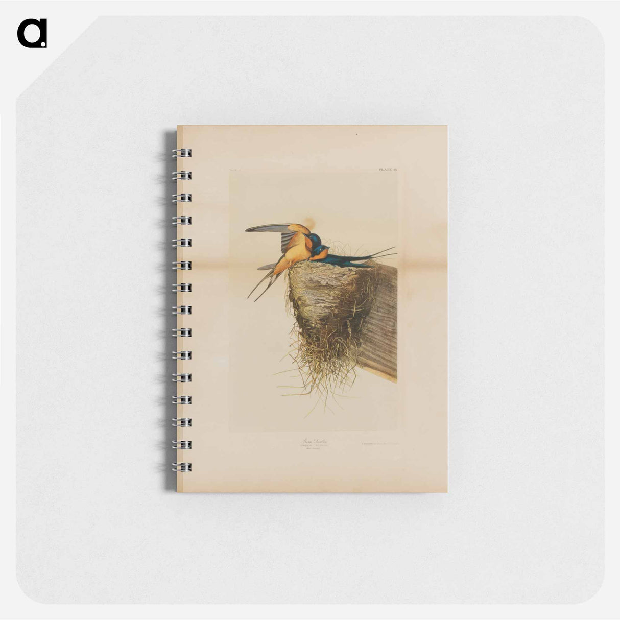 アートメモ帳-Barn Swallow
- ジョン ジェームス オーデュボン Memo.
