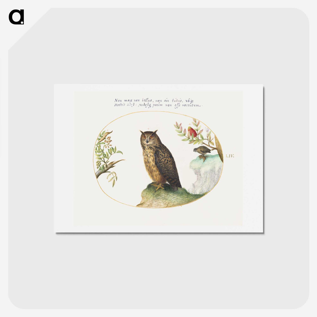 1-24_Joris-Hoefnagel_hagaki