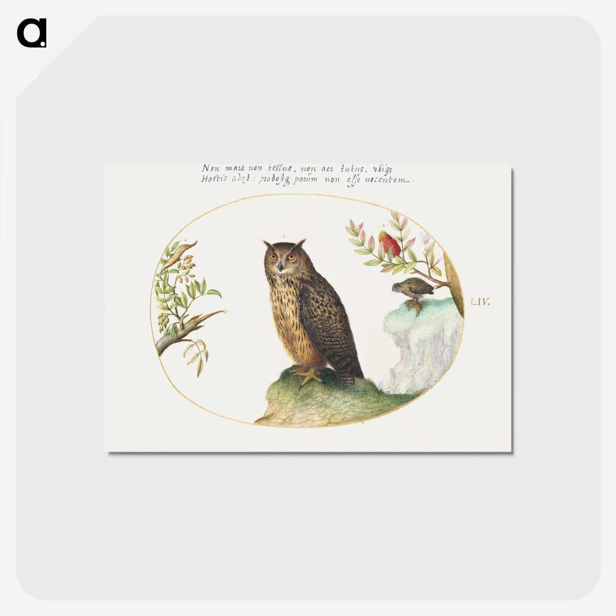 1-24_Joris-Hoefnagel_postcard