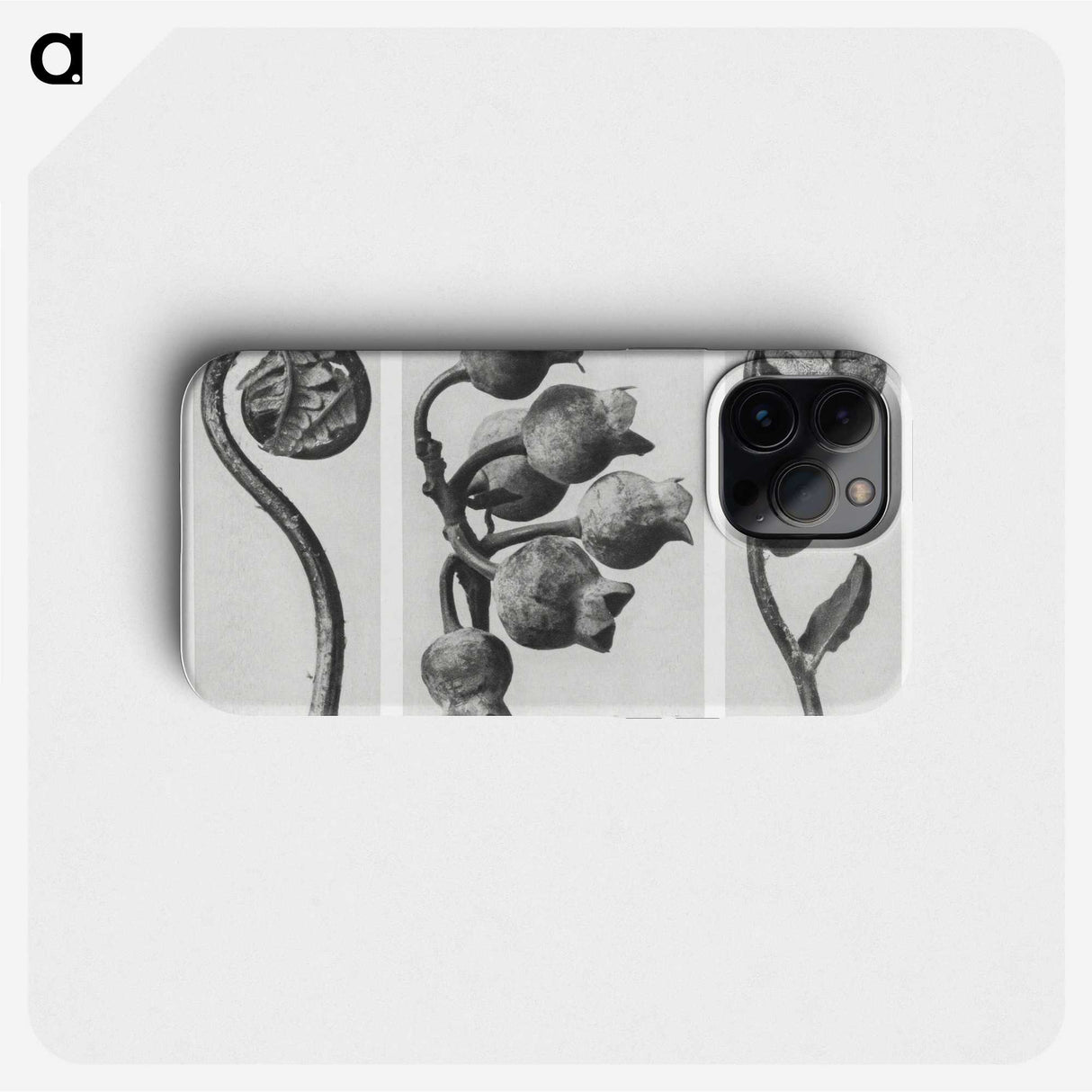 1-24_Karl-Blossfeldt_phone