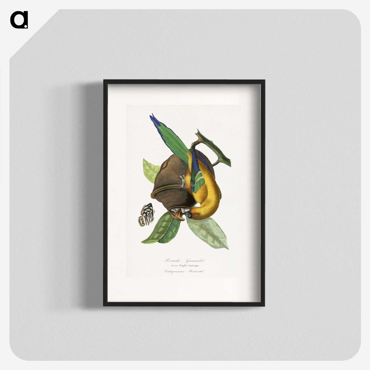 1-24_Le-Jardin-des-Plantes_blk