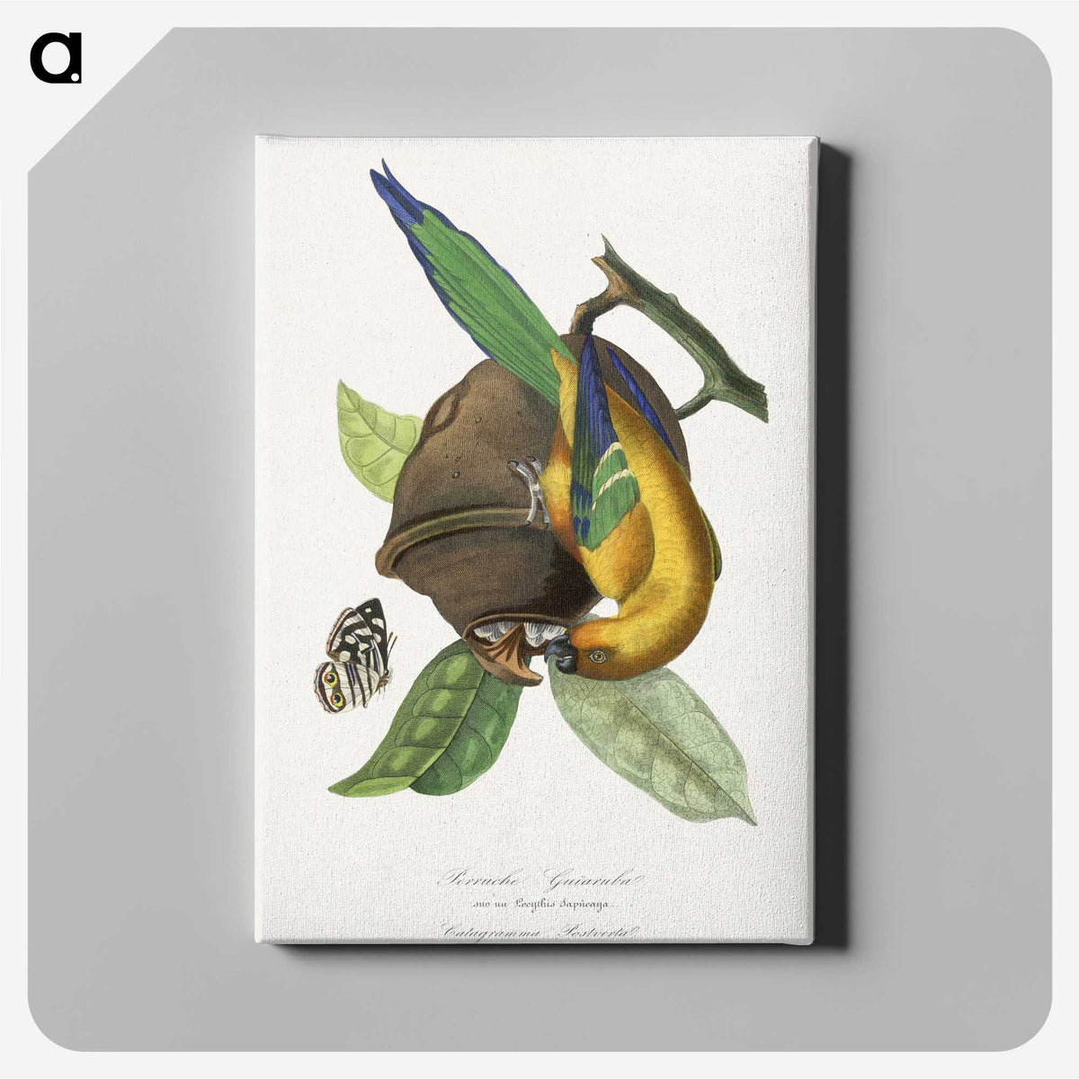 1-24_Le-Jardin-des-Plantes_canvas