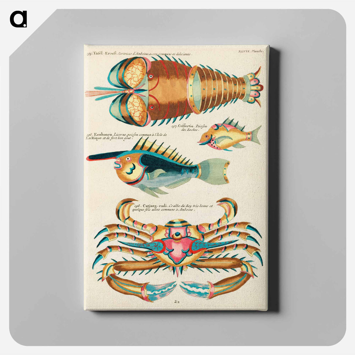 アートパネル-Indian and Pacific Ocean Creatures
- ルイ ルナール Canvas.