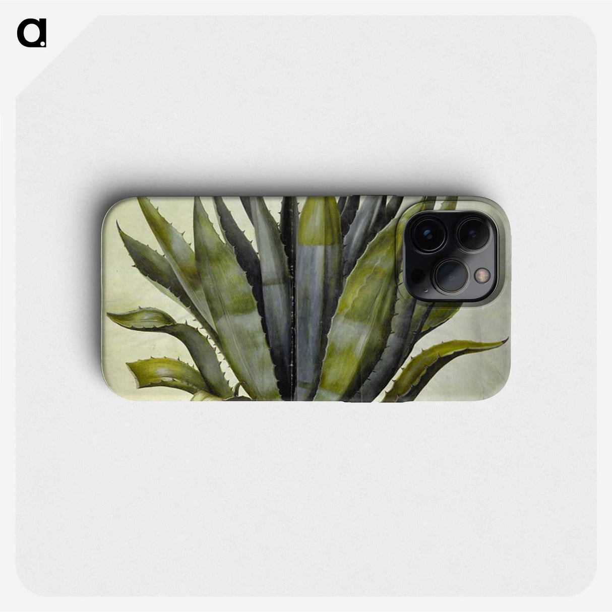 1-24_Maria-Sibylla-Merian_phone
