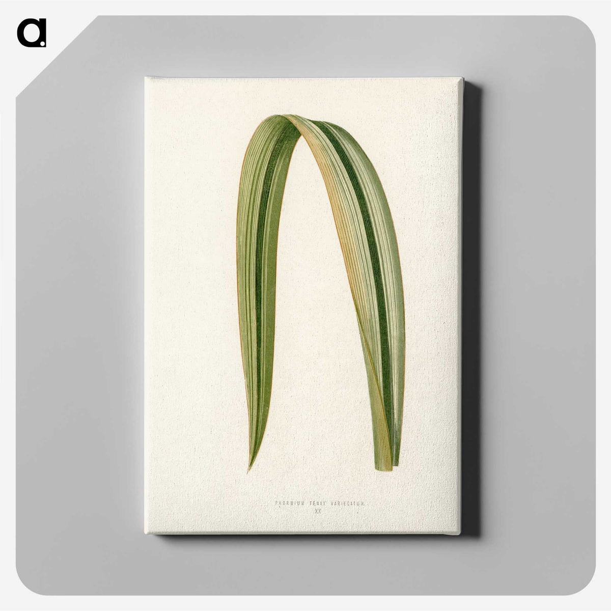1-24_New-and-Rare-Beautiful-Leaved-Plants_canvas