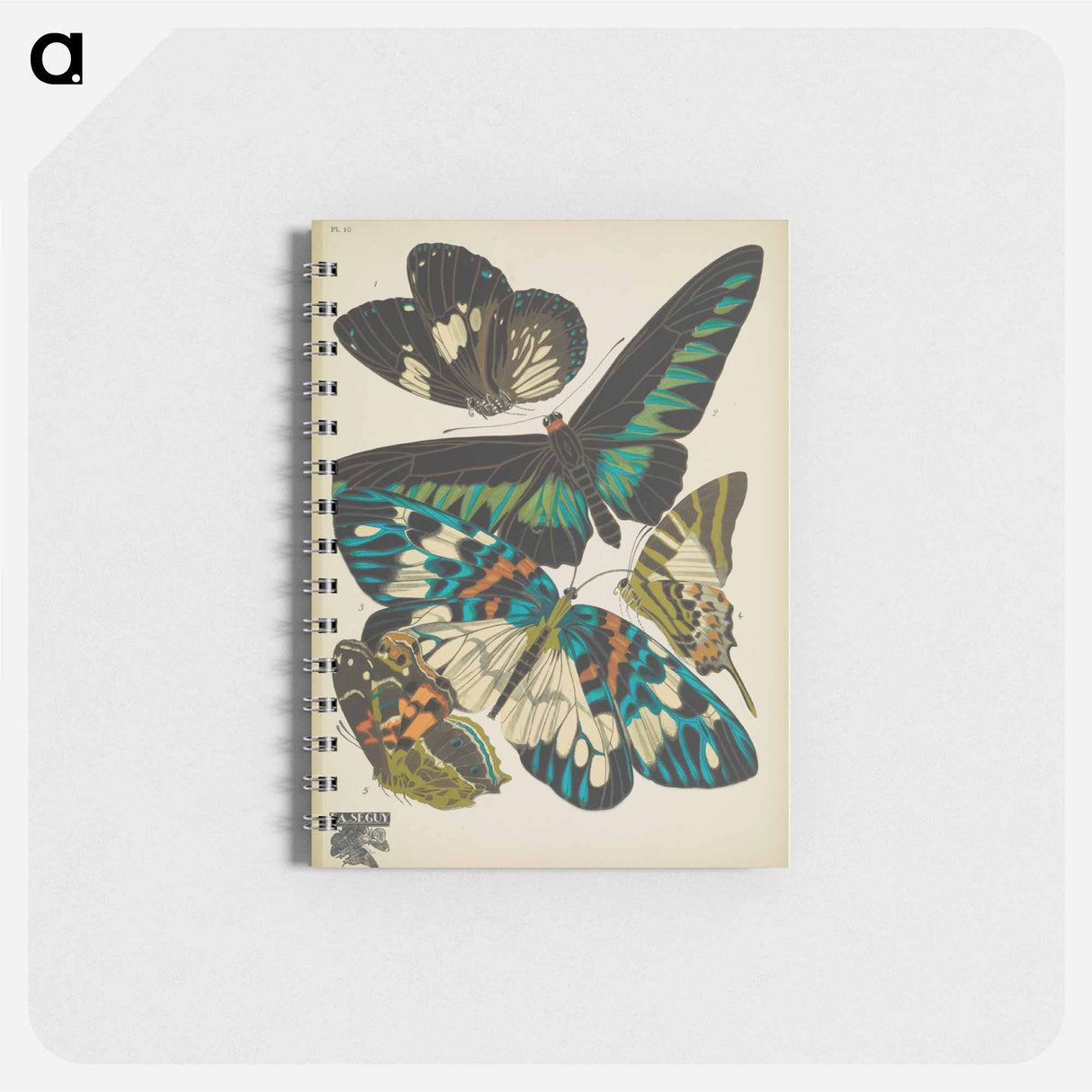 アートメモ帳-Vintage Butterflies
- パピヨン Memo.