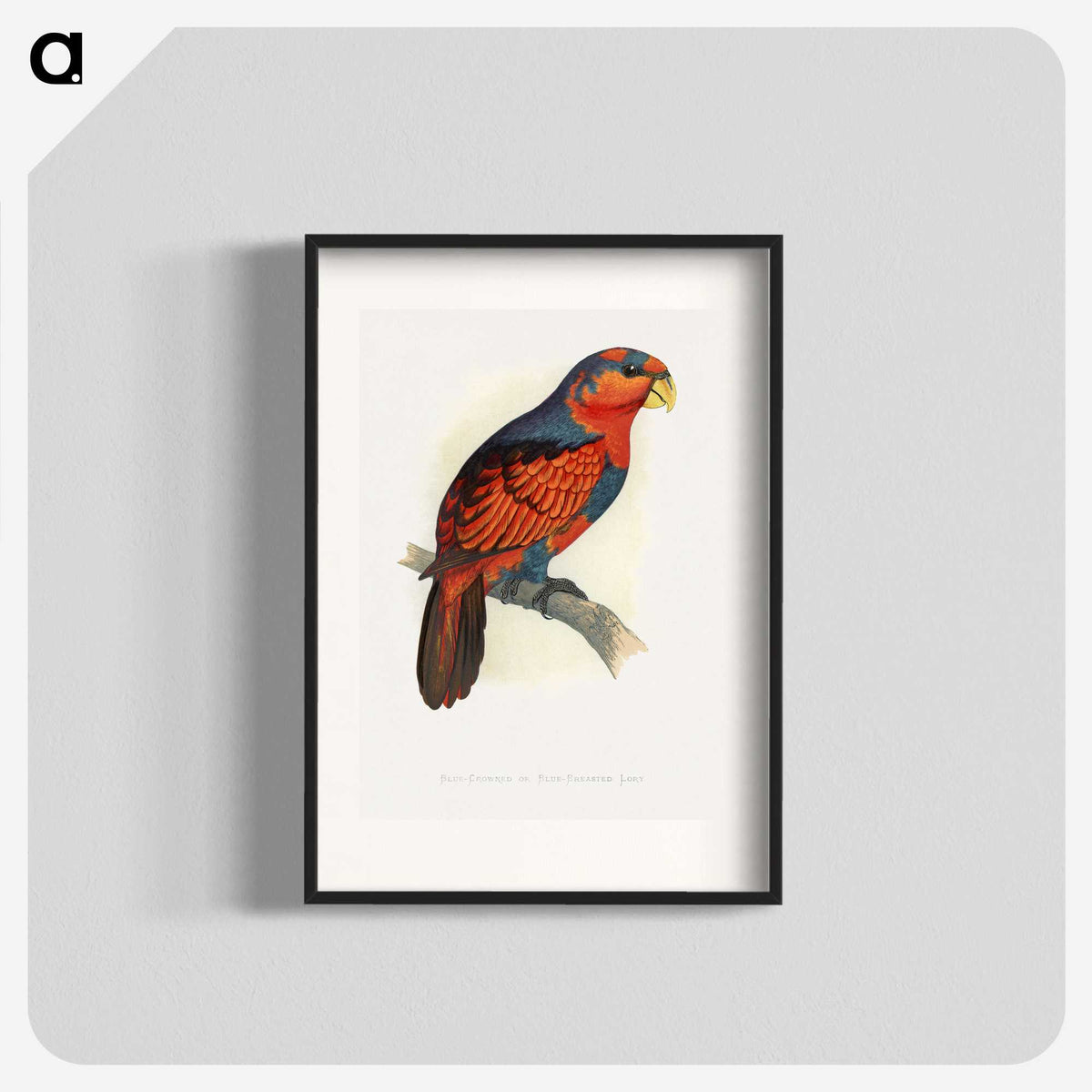 1-24_Parrots-in-Captivity_blk