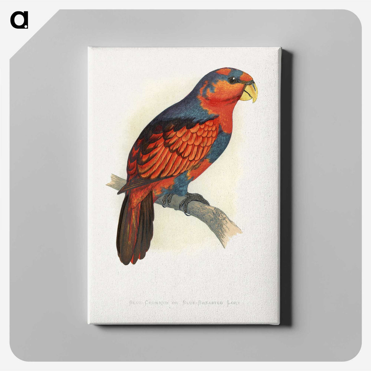 1-24_Parrots-in-Captivity_canvas