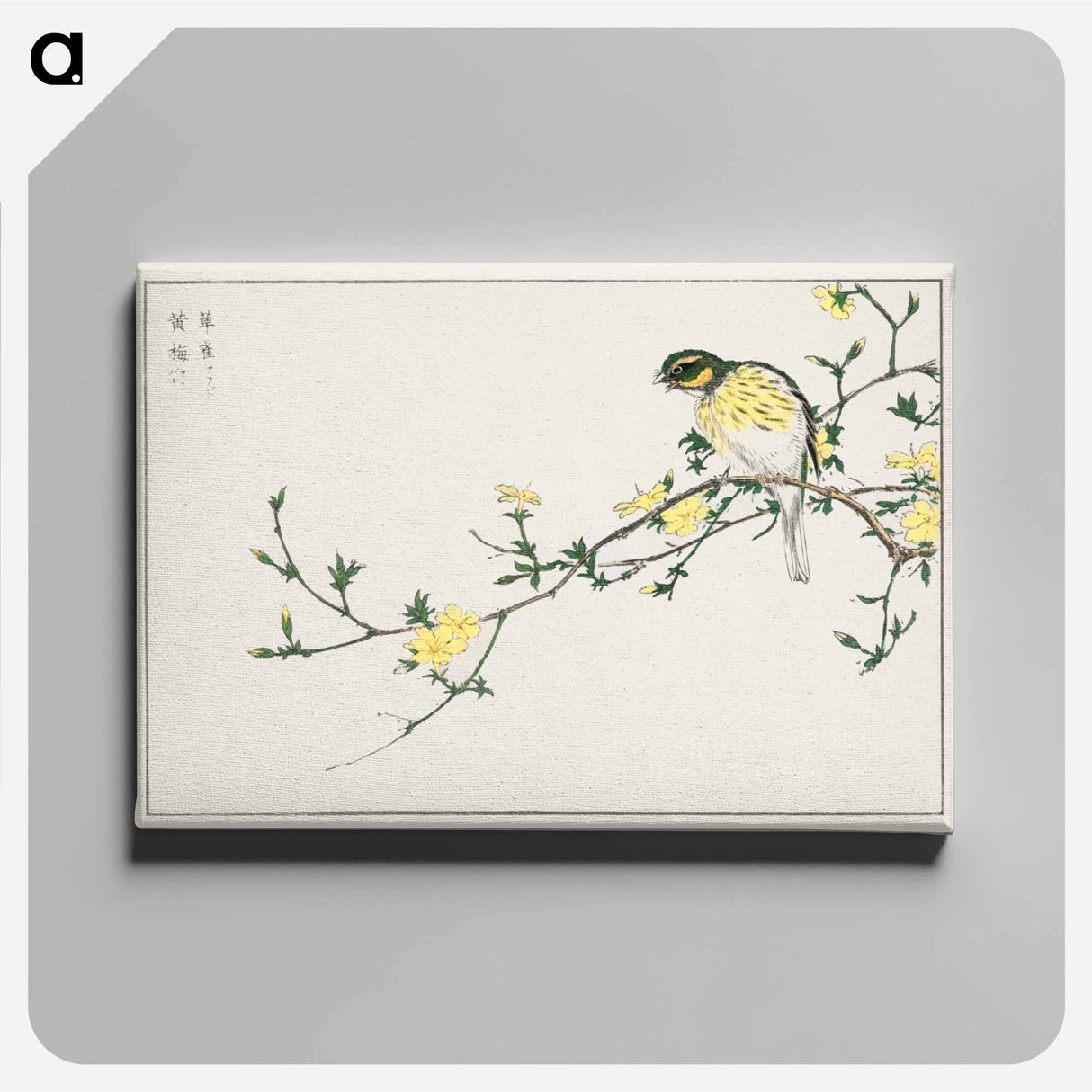 アートパネル-Japanese Bunting and Plum Tree
- 鳥類図鑑 Canvas.