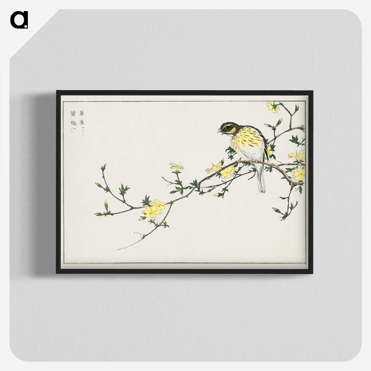 1-24_Pictorial-Monograph-of-Birds_blk-crop