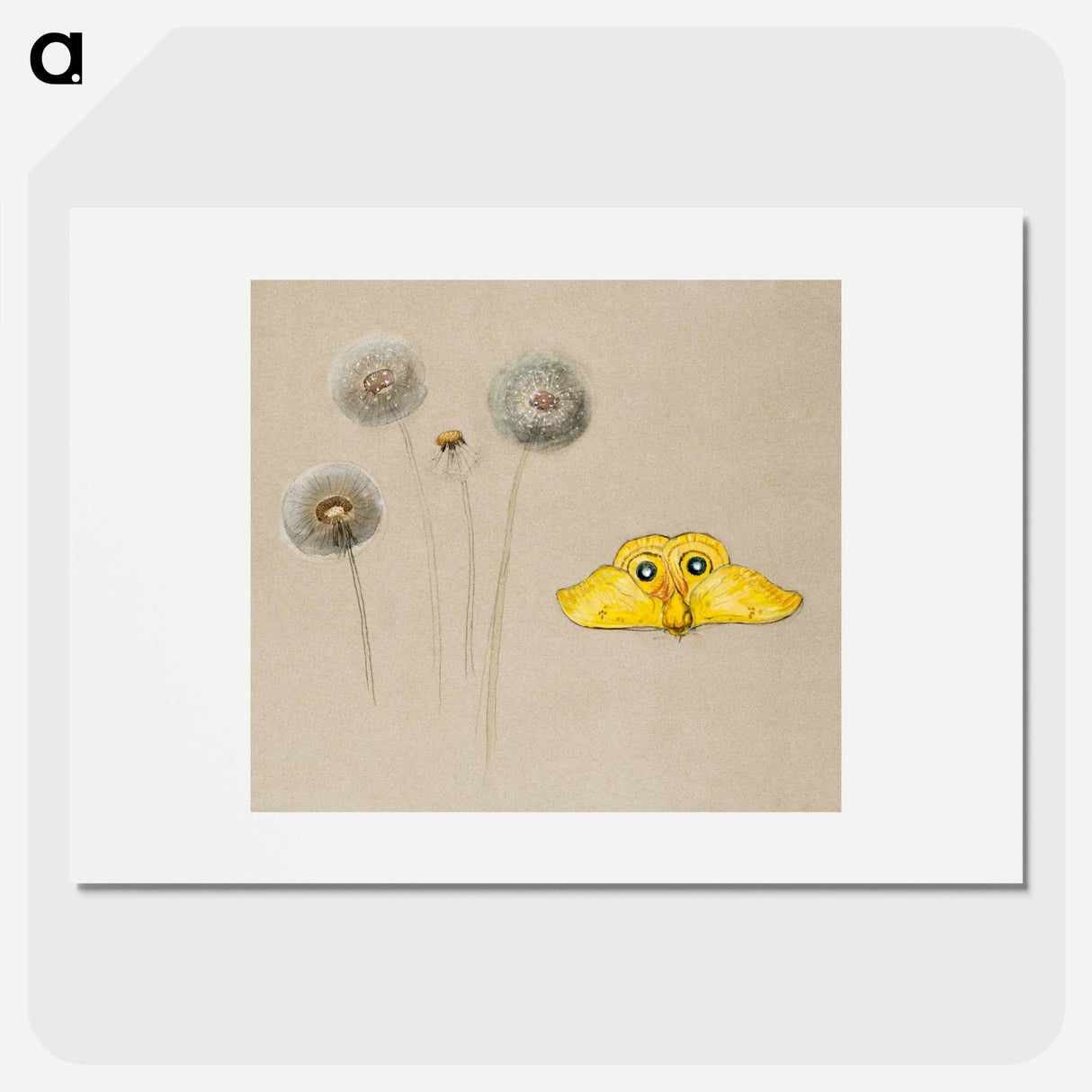Study of White Daisy, Chamomile Stem with Two Petals, and a Chamomile Petal - サミュエル コールマン Poster.