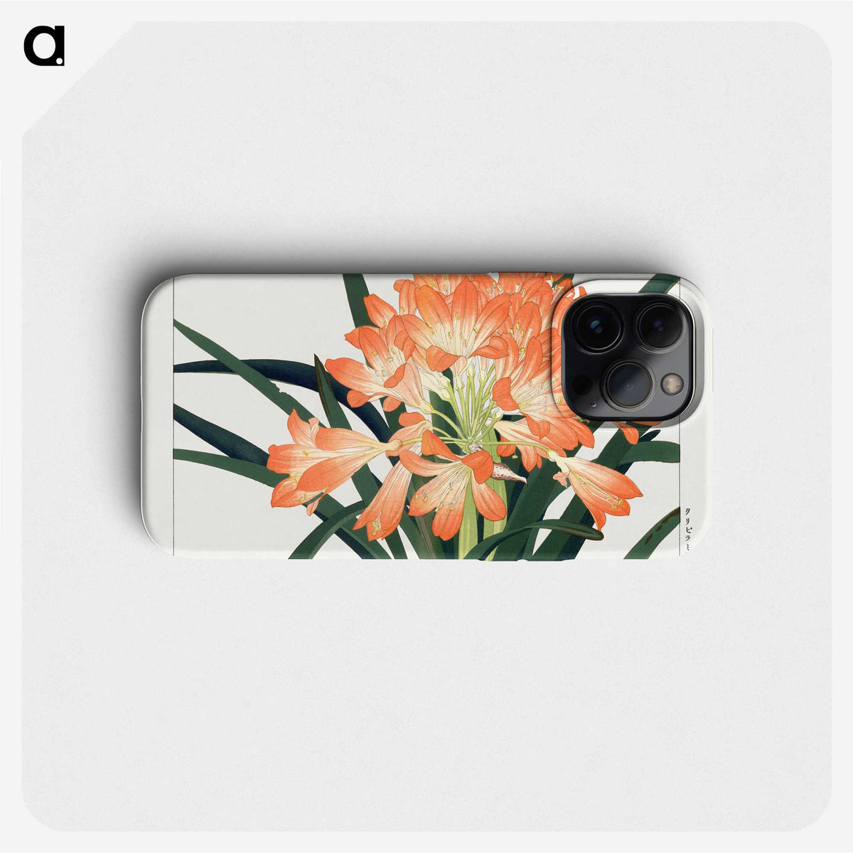 1-24_Seiyo-Soka-Zufu_phone