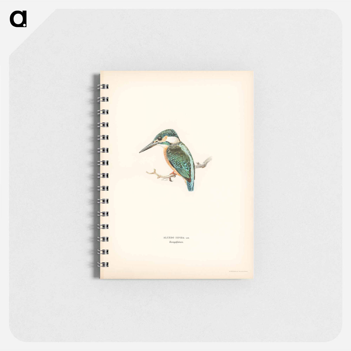 アートメモ帳-Alcedo ispida
- スヴェンスカ フォグラル Memo.